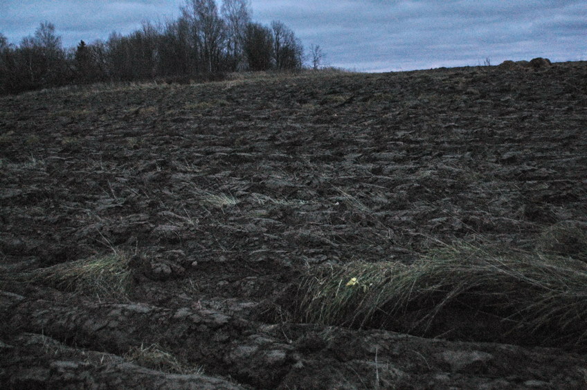 On the fallow field