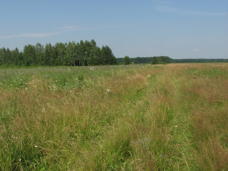 Шаг 1, через поле/Step 1, across the field