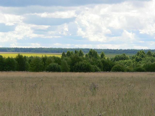 General view, to the South