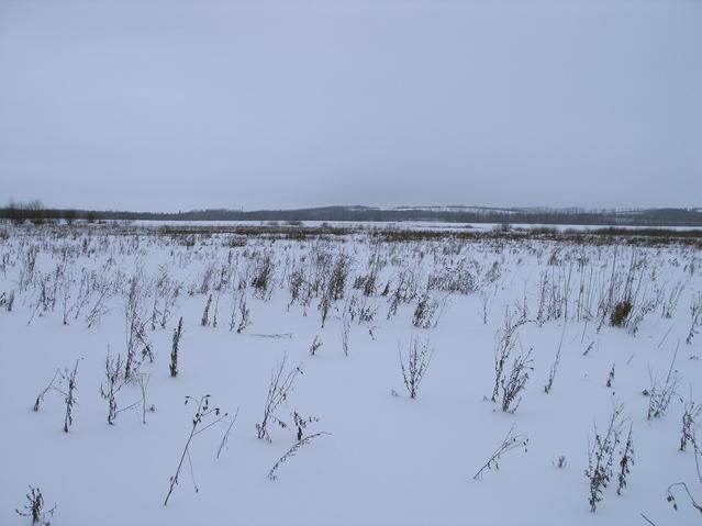 Вид на запад в направлении деревни Вогулка -- West view towards Vogulka village