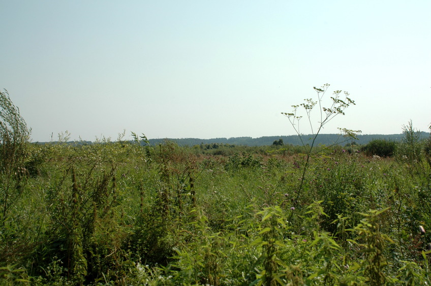 East view / На восток