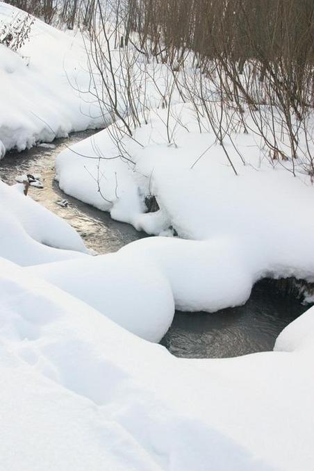 Речка Видуловка -- The small Vidulovka river