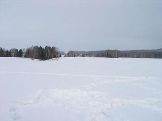 #1: Вид на север в направлении деревни Кресты -- North view towards Kresty  village