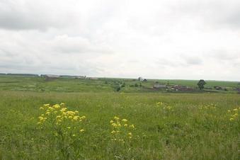 #1: Вид на юг. Деревня Черемиска -- South view. Cheremiska village