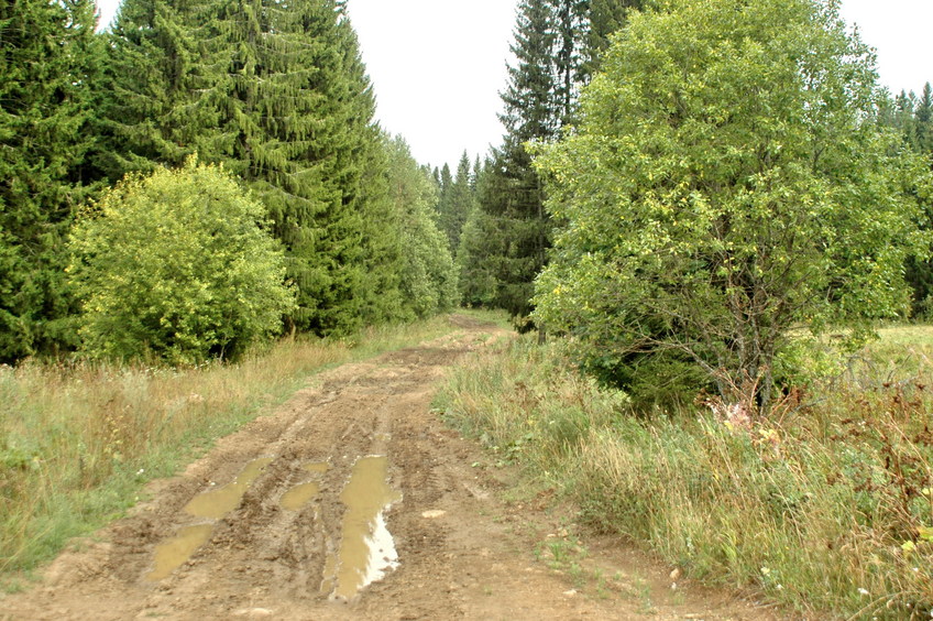 Wet road/Лужи на дороге