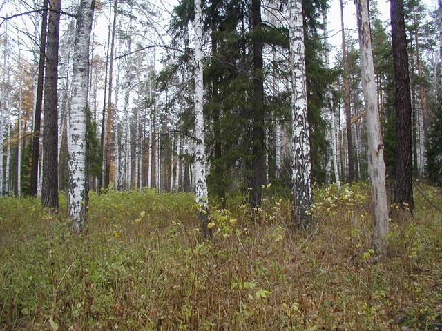 Вид на север -- View to the North