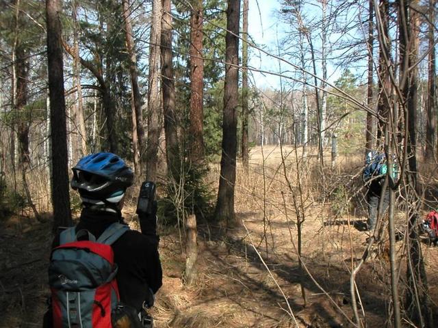 В месте конфлюэнции. Вид на поляну -- In the confluence area.  View of a glade