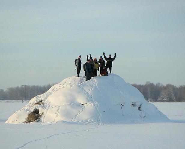 Visitors on the haystack: Victory!