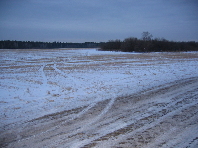 Our track runs straight in the field, to the confluence