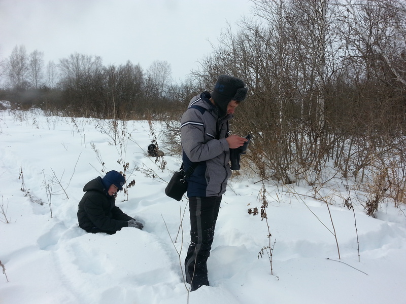 Процесс поиска / Searching