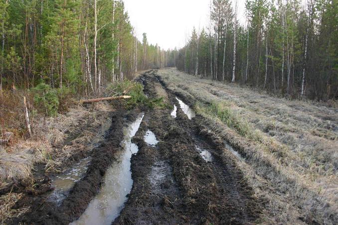 Дорога для зимы -- A road for winter