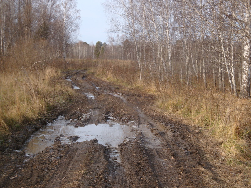 Дорога в низинах / Road in lowlands