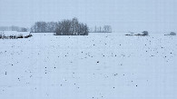 #9: Поле / Field