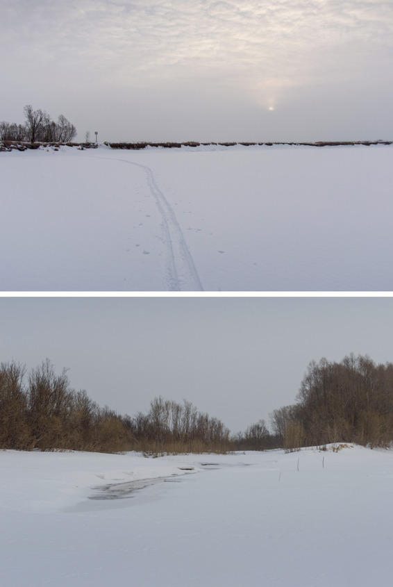 Путь по реке / Along the river