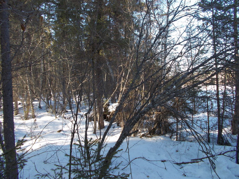 Вид на Север/North view