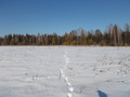 #7: Вид с дороги в сторону пересечения/Confluence view from the road