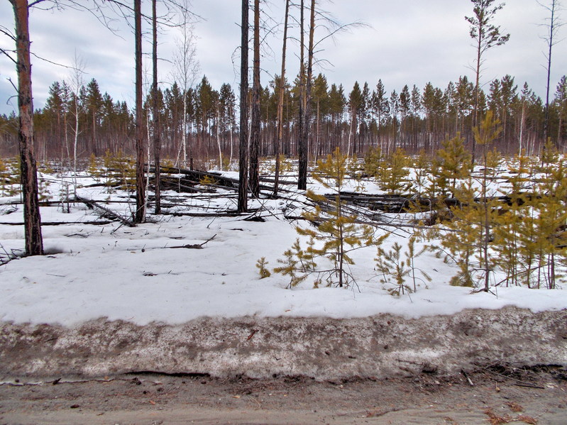 Вид с дороги в сторону пересечения/Towards the confluence. View from the road