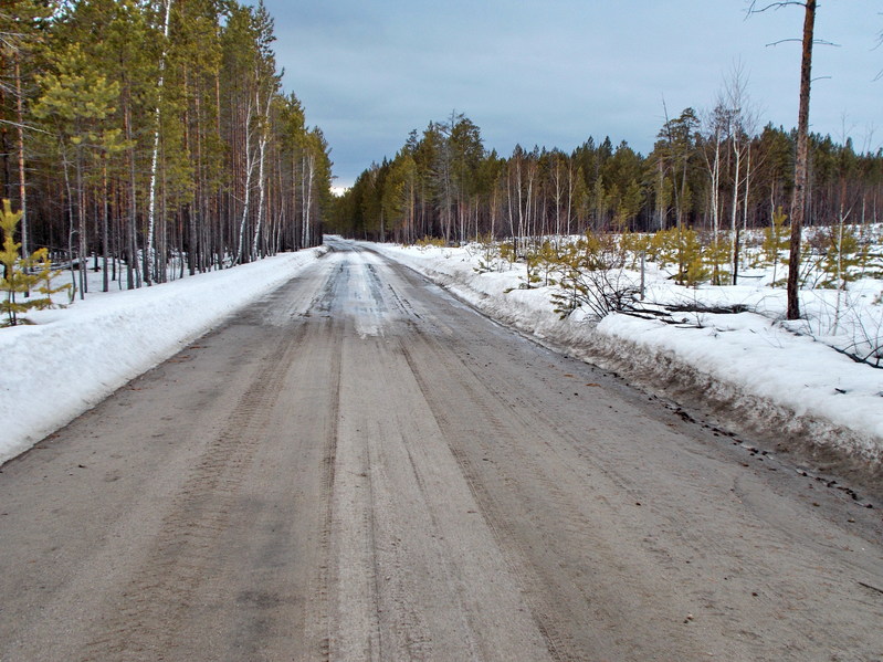 Дорога в деревню Борки/The road to Borki