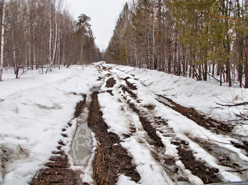 Дорога к пересечению/The road to the confluence