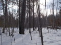 #2: На Восток/East