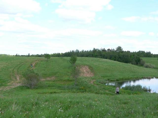 The road towards the point