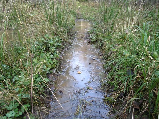 Puddle located in the rut of a road covered by thin ice