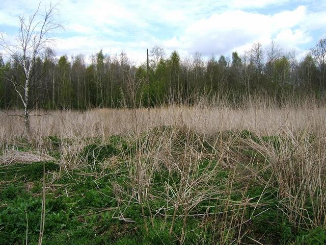 General area of the confluence