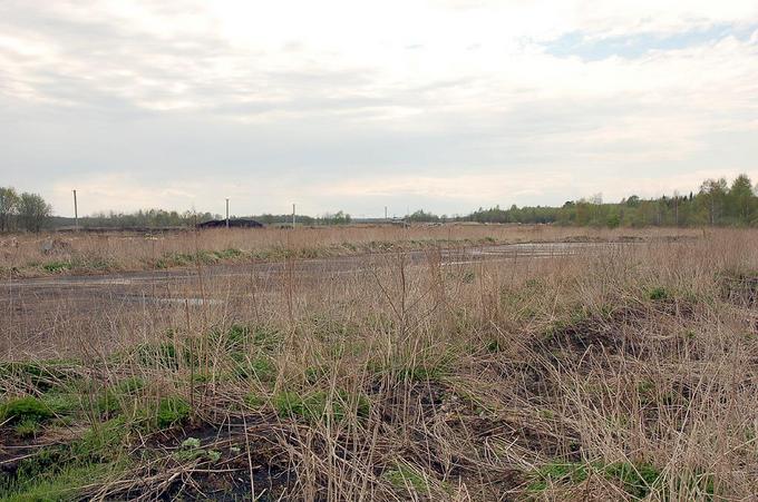 View to the South from the confluence