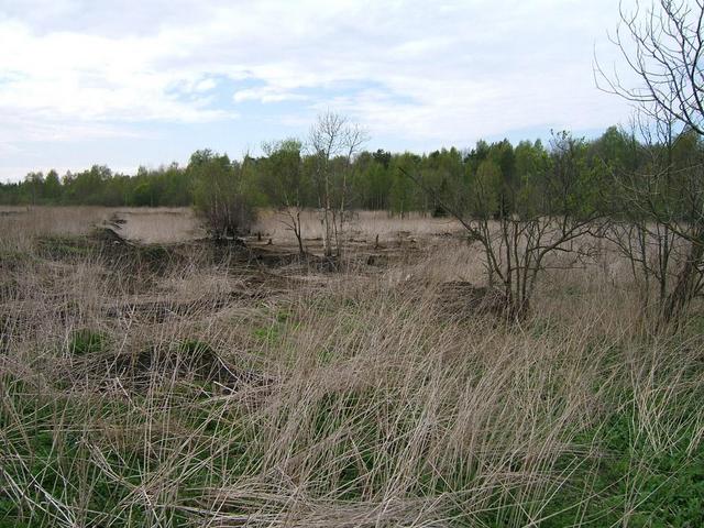 View to the West from the confluence