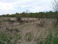 #4: View to the West from the confluence