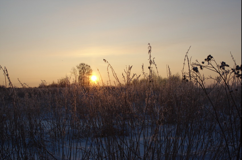 Sunset/На закате