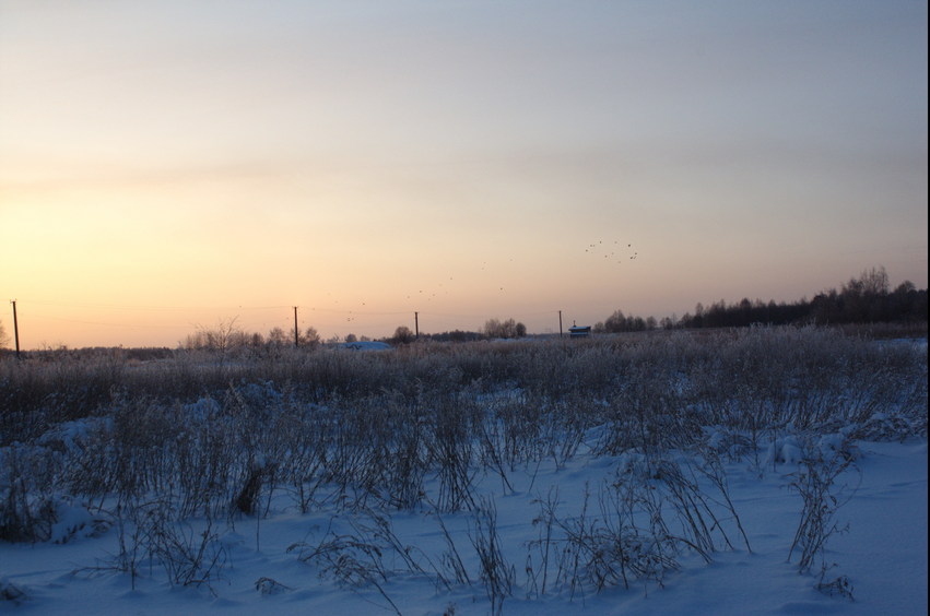 View over confluence field