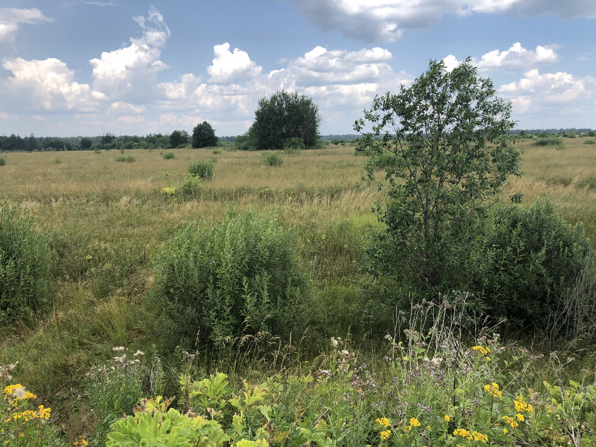 The Confluence from 20 m Distance