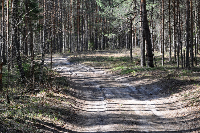 Дорога на север от точки/The road to the north from CP