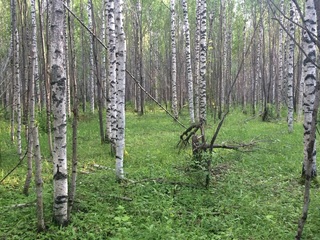 #1: General view of the confluence point