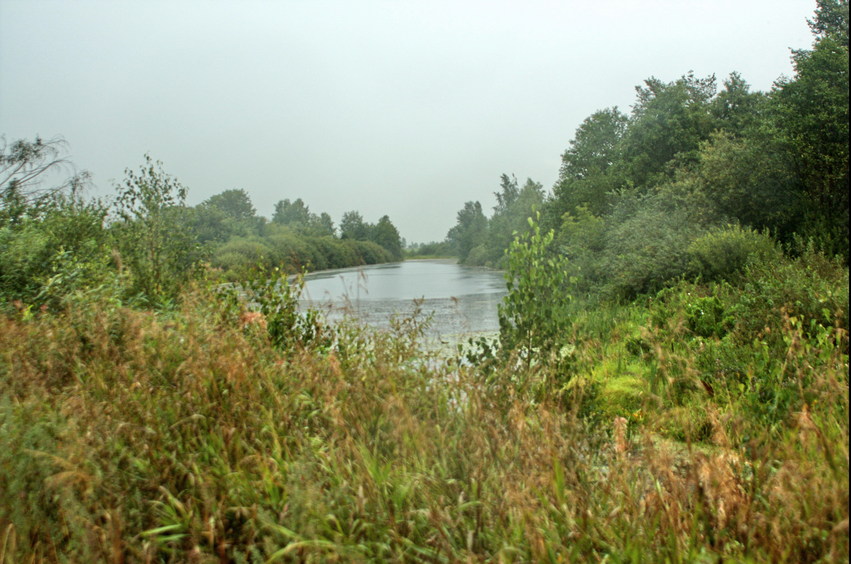 Small lake/Озерцо