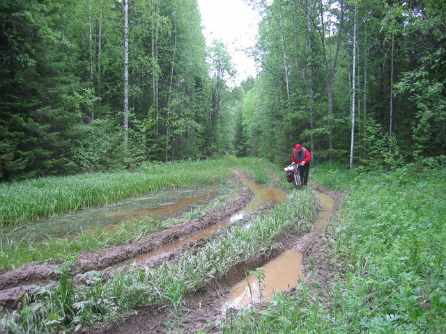 At the same timber-carrying road between Sverdlovsk and Perm Regions of Russia (between Verkhnyaya Oslyanka and Kyn villages)