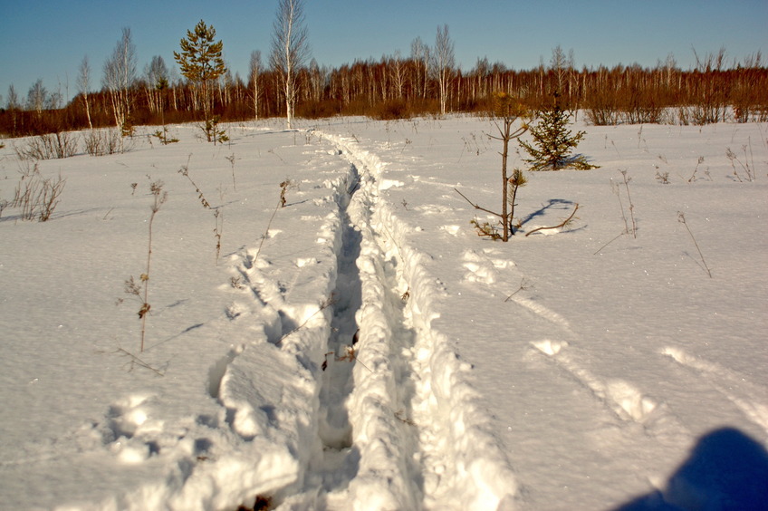 Our ski path near the CP / Наша лыжня у точки