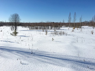 #1: The Confluence from 20 m distance, to the South