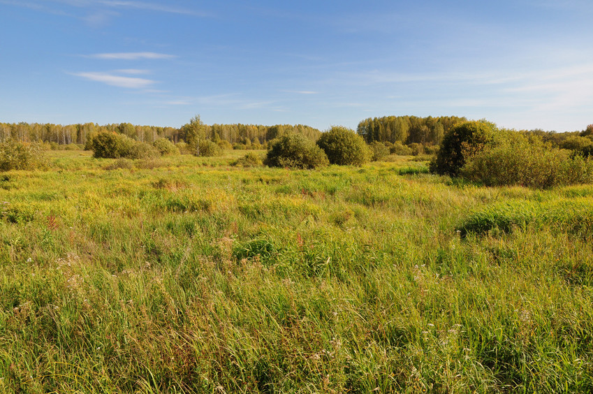 General view