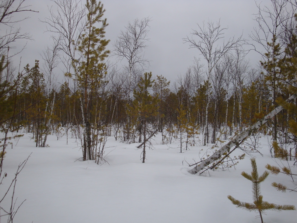 На север / North