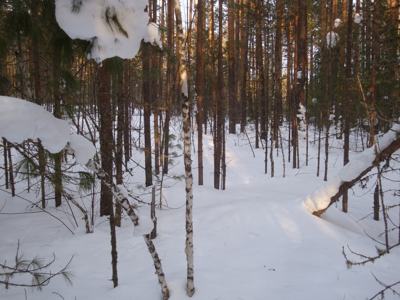 Восток / East