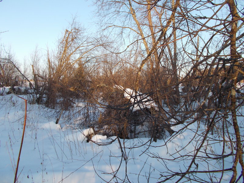 Вид на Восток/East view