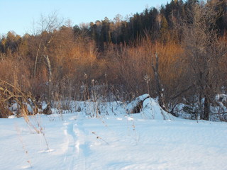 #1: В кустах конфлюенция/The confluence is in the bushes