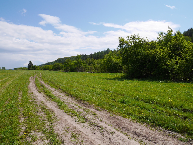 The road towards confluence / Дорога на 58°N 93°E