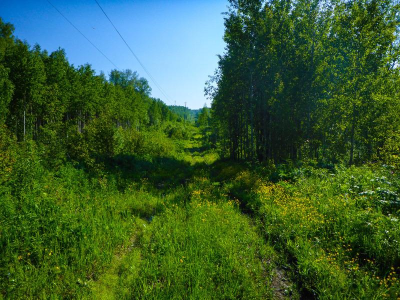 Electric power line / Просека ЛЭП