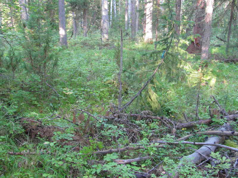 View of the confluence