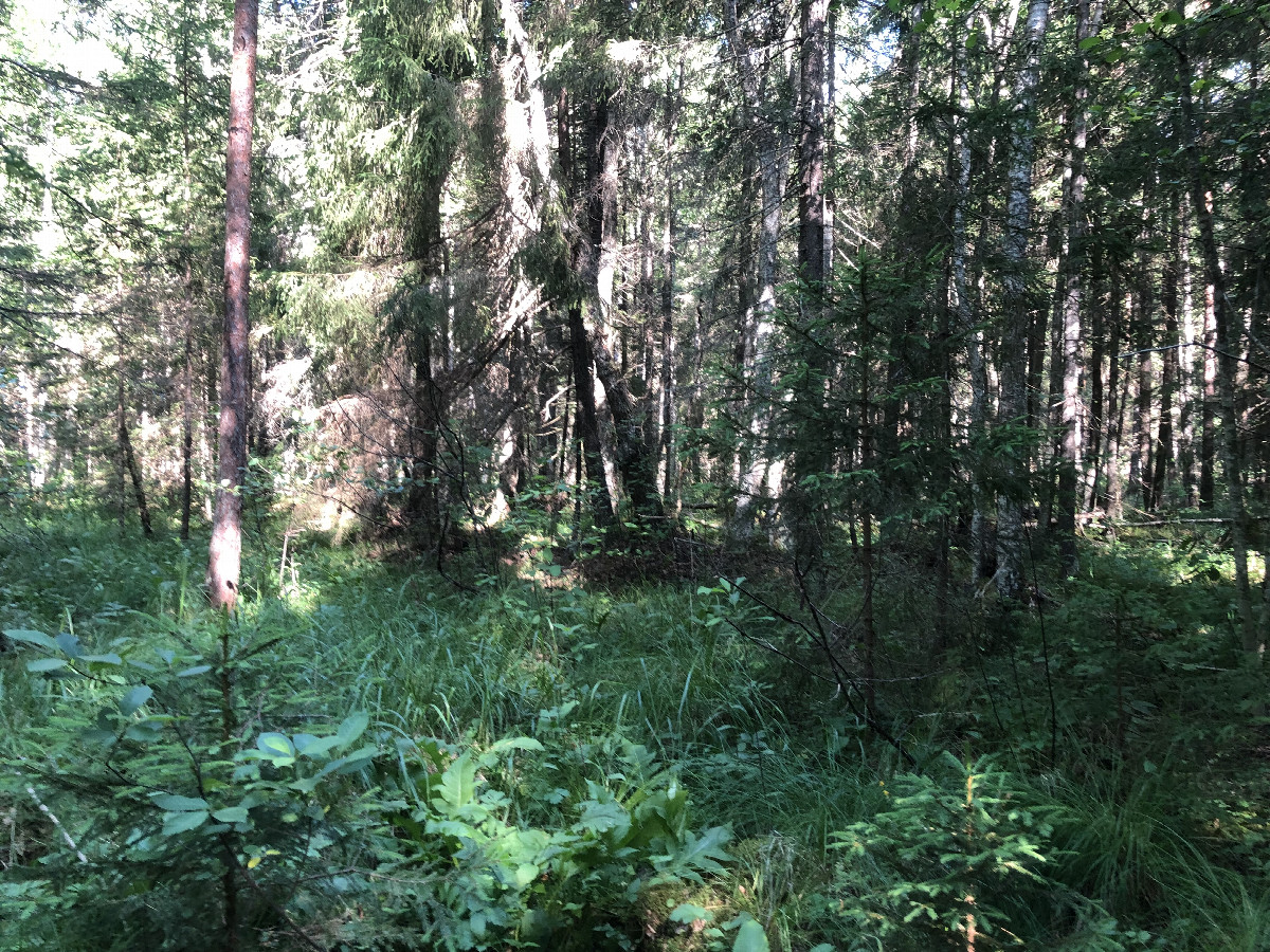 The Confluence from 10 m Distance