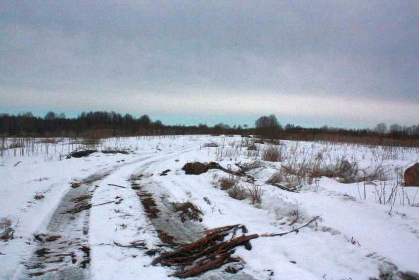 Road to forest cutting / Дорога на вырубку