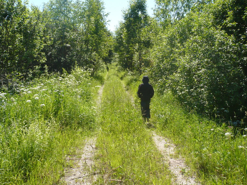 Road to railway / Дорога к ж/д ветке